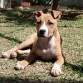 Con 4 meses recién cumplidos